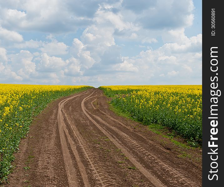 Spring blossoming field and the sky with clouds, road to a field