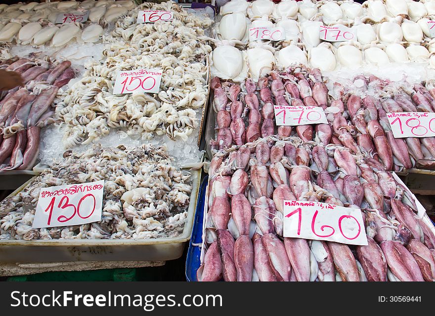 Fresh squid in the market for sale