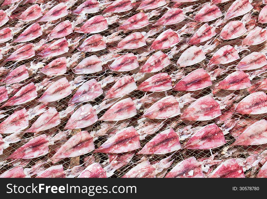 Squids placed in the strong sunshine to dry on net in seafood market Thailand. Squids placed in the strong sunshine to dry on net in seafood market Thailand