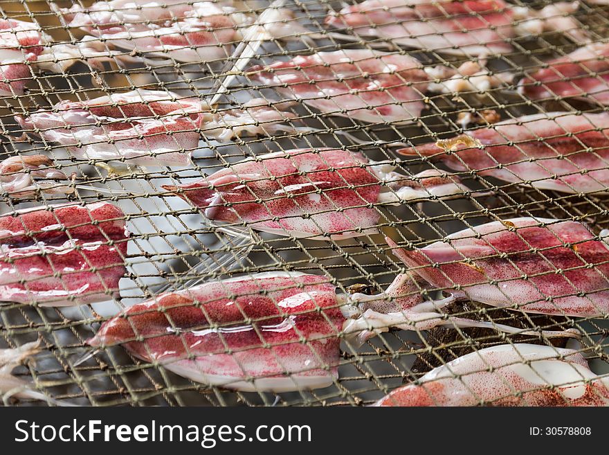 Squids placed in the strong sunshine to dry on net in seafood market Thailand. Squids placed in the strong sunshine to dry on net in seafood market Thailand