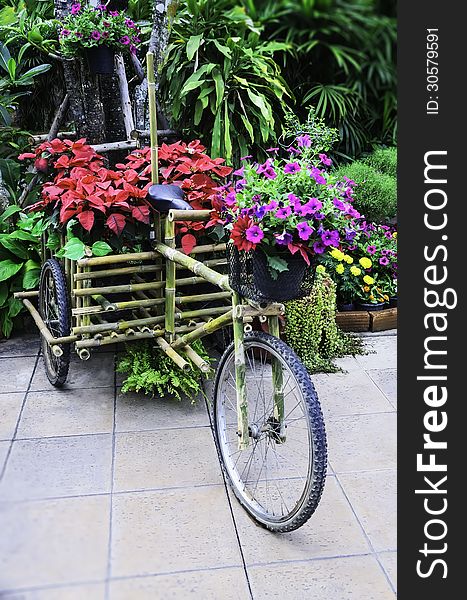 Beautiful bicycle in the garden