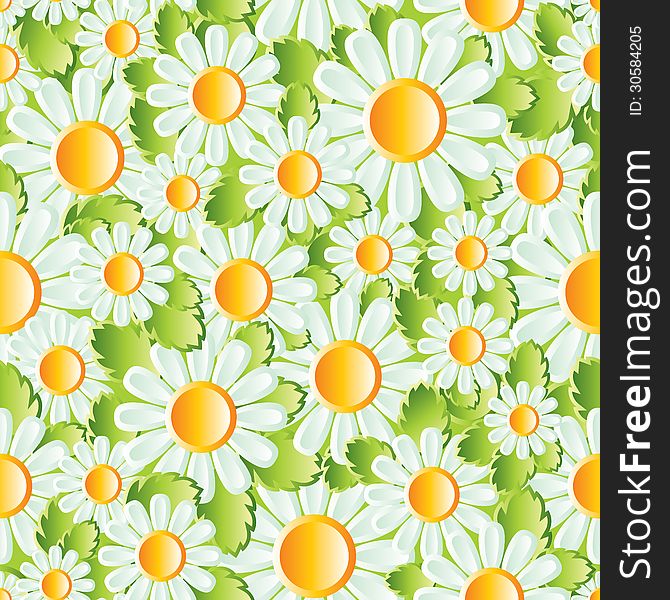 Vector seamless background with chamomiles. Vector seamless background with chamomiles
