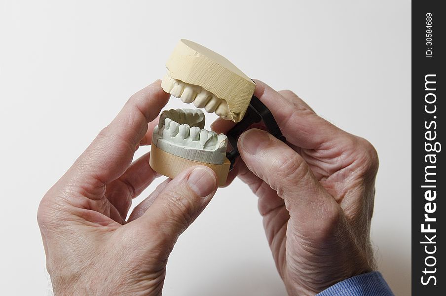 Man holding plaster cast dental mold. Man holding plaster cast dental mold