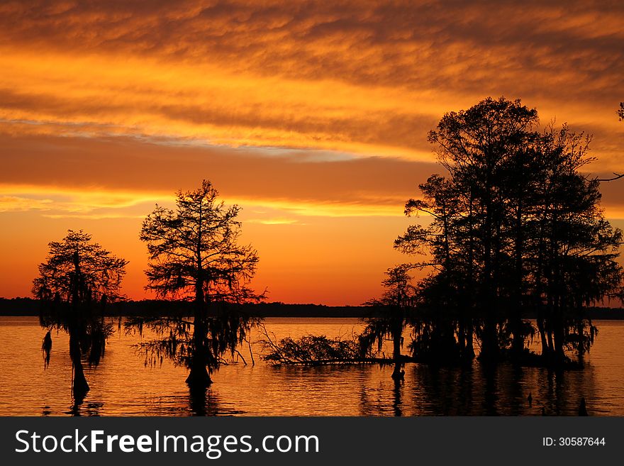 Sunset sky with golden glow, reflections in river and silhouettes of trees in foreground.