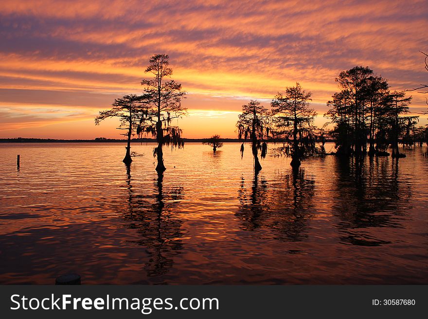 Sunset sky with blue tint reflections in river and silhouettes of trees in foreground.