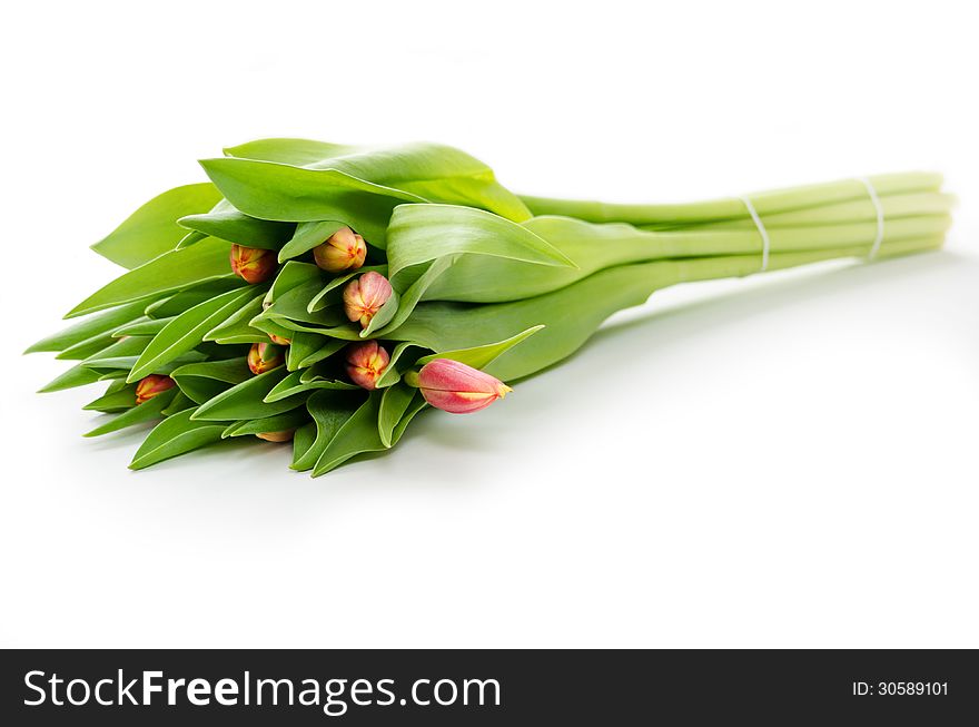 Bouquet of red and yellow tulips on a white background. Bouquet of red and yellow tulips on a white background.