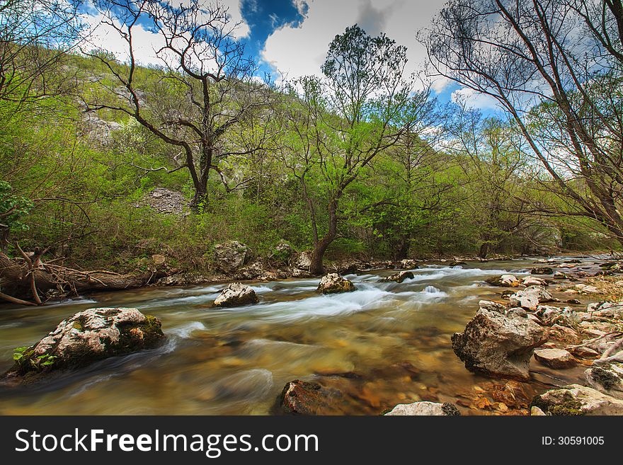 Mountain Stream And Waterfalls In The Forest In Spring