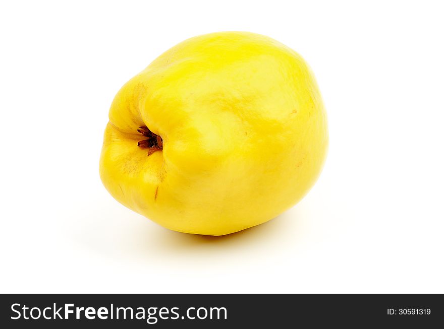 Perfect Ripe Quince isolated on white background