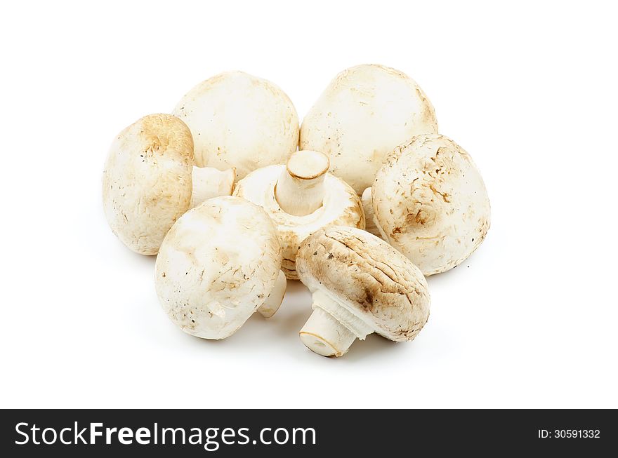 Heap of Perfect Big Raw Field Mushrooms isolated on white background