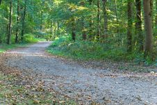 Footpath In The Park/forest Royalty Free Stock Image Footpath In The Park/forest Royalty Free Stock Image