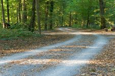 Footpath In The Park/forest Stock Photos Footpath In The Park/forest Stock Photos