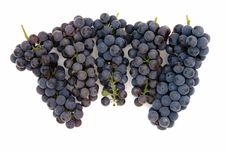 Dark Grape Royalty Free Stock Photos Dark Grape Royalty Free Stock Photos
