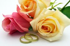 Rings And Rose Stock Images Rings And Rose Stock Images