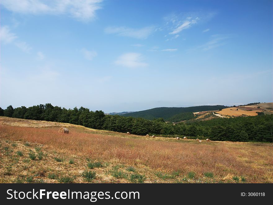 Summer italian landscape with hayfield and blue sky. Summer italian landscape with hayfield and blue sky