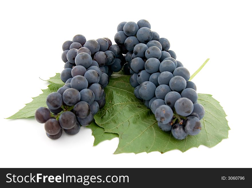 Dark grape with leaf isolated over white background