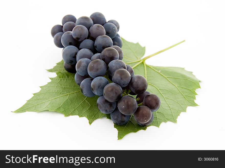 Dark grape with leaf isolated over white background