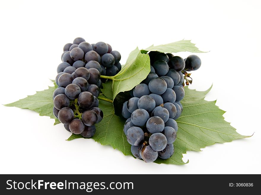 Dark grape with leaf isolated over white background