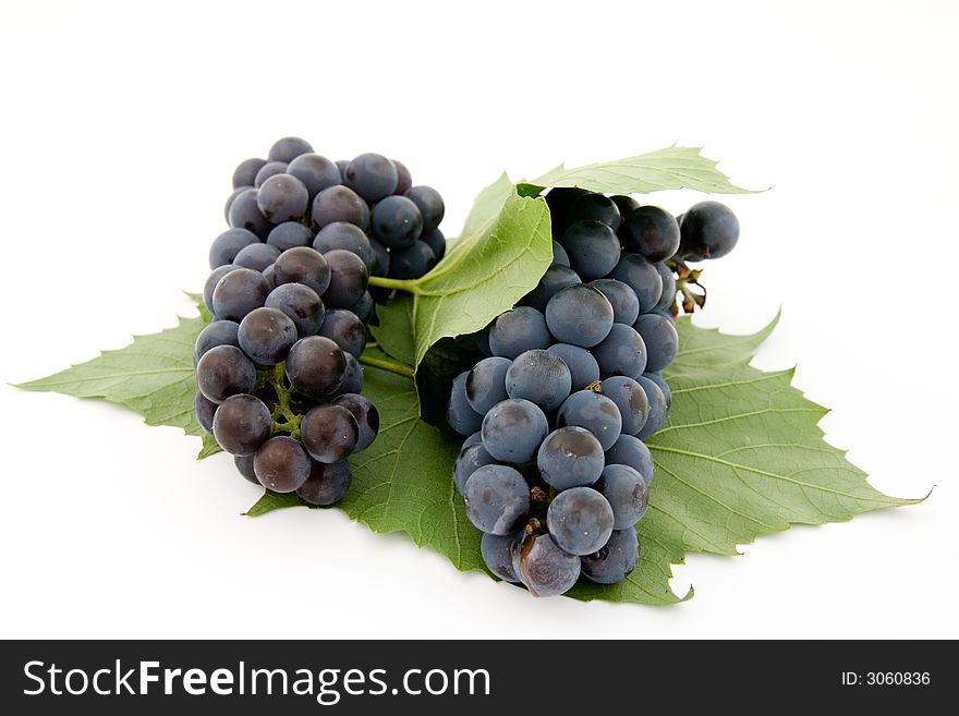 Dark Grape With Leaf