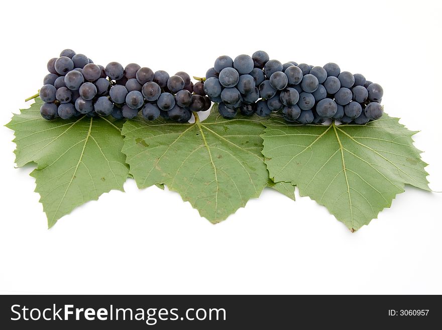 Dark grape with leaf