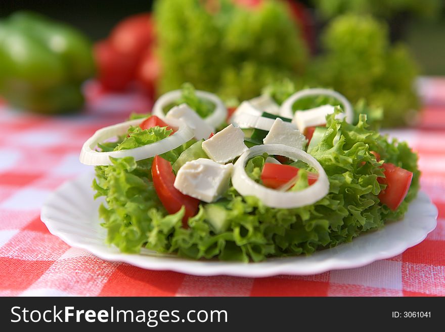 Delicious vegetable salad with tomato, onion and cucumber