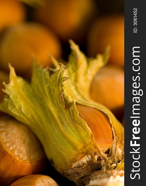 Hazelnut on the wooden table