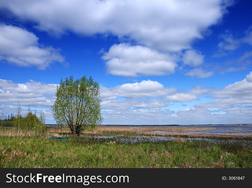 Spring landscape with beautiful sky abd green grass