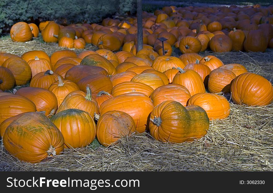 Halloween is coming - get a pumpkin!
