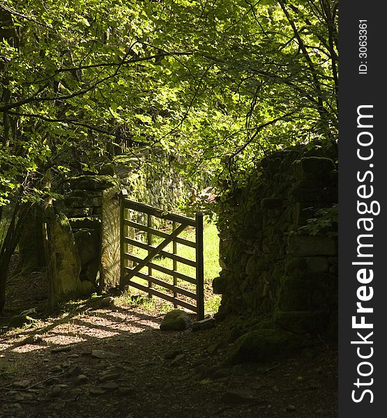 Five barred gate in sunshine and shade. Cumbria, England