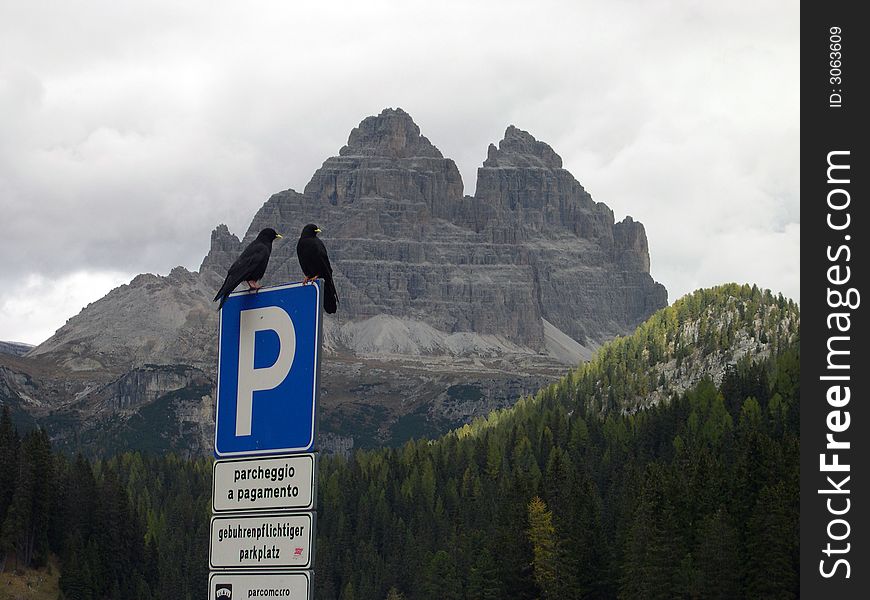 A view of Dolomitic mountains with two crows up a road sign