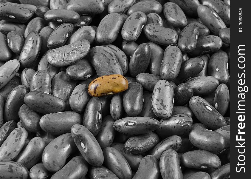 Black and white heap of beans, but one - colored
