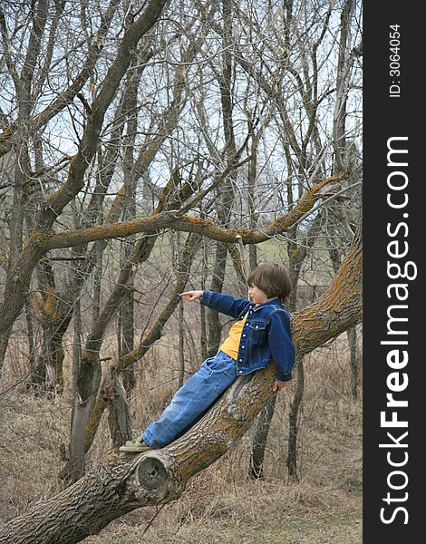 A young boy providing direction after climbing a tree. A young boy providing direction after climbing a tree.