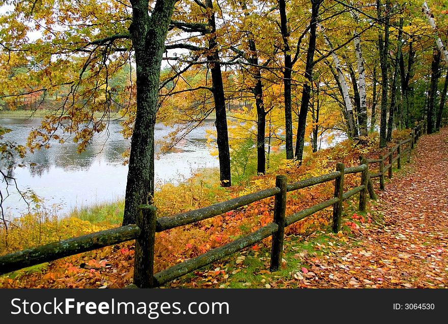 Autumn scene in a park by the lake. Autumn scene in a park by the lake