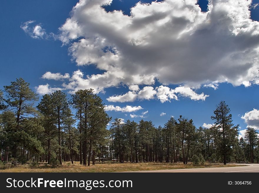 Clouds shined by the sun above park nearby Grand Canyon in the USA. Clouds shined by the sun above park nearby Grand Canyon in the USA