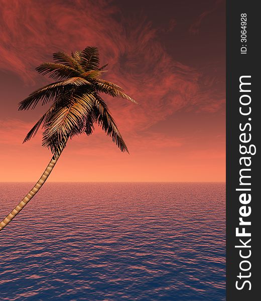 Top of palm tree on a background of a sunset sky. Top of palm tree on a background of a sunset sky