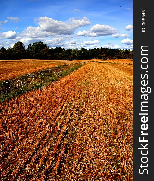 A field in Järnvafältet near Bögsgård