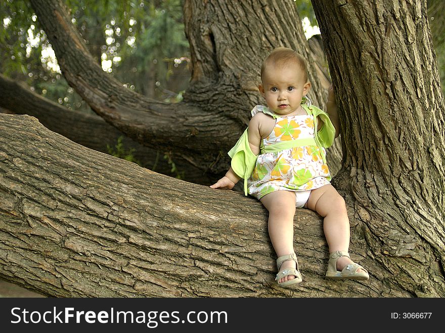 Child On A Tree