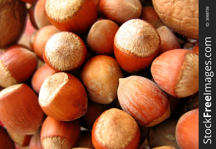 Closeup of hazel nuts background. Closeup of hazel nuts background