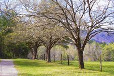 Open Fields Of Cades Cove In Spring. Royalty Free Stock Images Open Fields Of Cades Cove In Spring. Royalty Free Stock Images