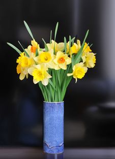 Daffodil Arrangement Stock Photos Daffodil Arrangement Stock Photos