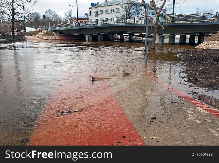 Urban river embankment submerged by flood