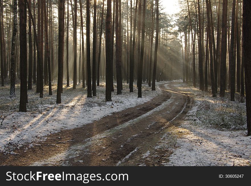 The photograph shows the winter in the woods. Land cover thin layer of snow. Runs winding through the trees, forest road. For a light mist hovering between dzrewami single burst rays of the sun. The photograph shows the winter in the woods. Land cover thin layer of snow. Runs winding through the trees, forest road. For a light mist hovering between dzrewami single burst rays of the sun.