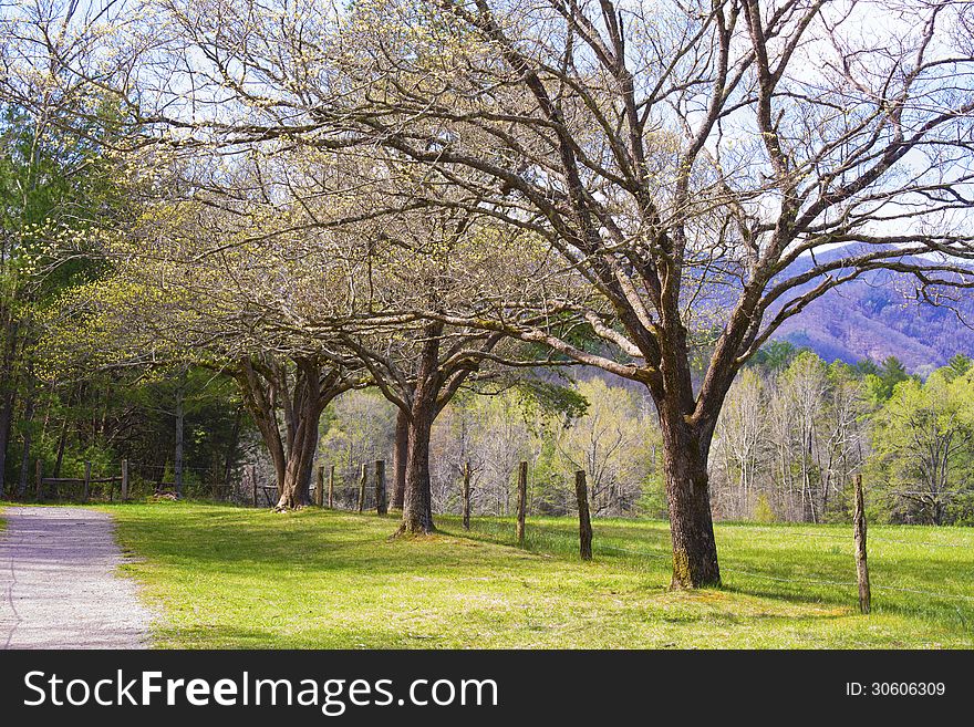 The open fields of Cades Cove in spring greenery. The open fields of Cades Cove in spring greenery.