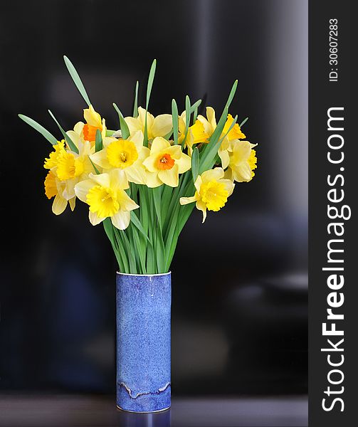 Arrangement of daffodils in blue vase. Arrangement of daffodils in blue vase.