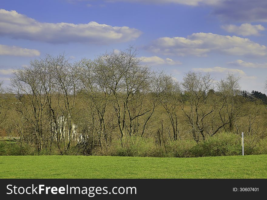 Summer field with trees over blue clear sky. Summer field with trees over blue clear sky