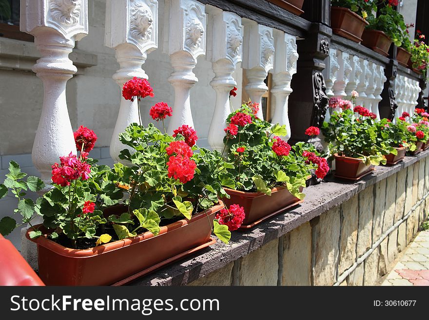 Flower Decorated Terrace Of A House