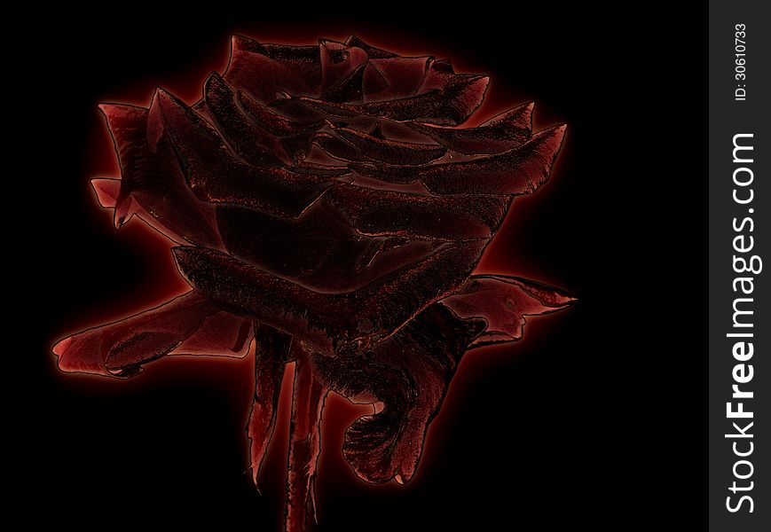 Abstract glowing red rose over black background. Abstract glowing red rose over black background.