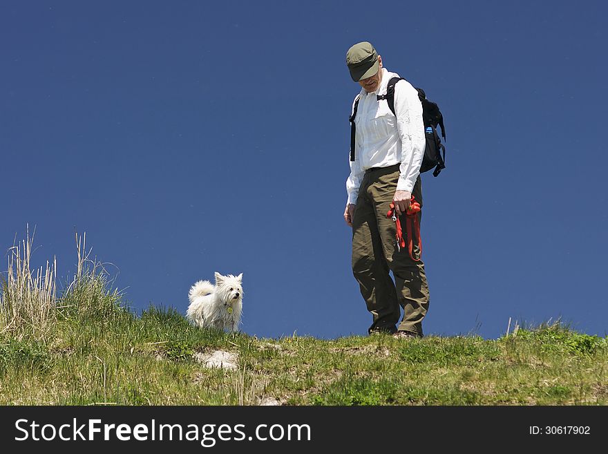 A little white dog out for a walk with a dog walker in early spring. Clear blue skies are filled with an occlusion of springtime insects requiring protective clothing. A little white dog out for a walk with a dog walker in early spring. Clear blue skies are filled with an occlusion of springtime insects requiring protective clothing.