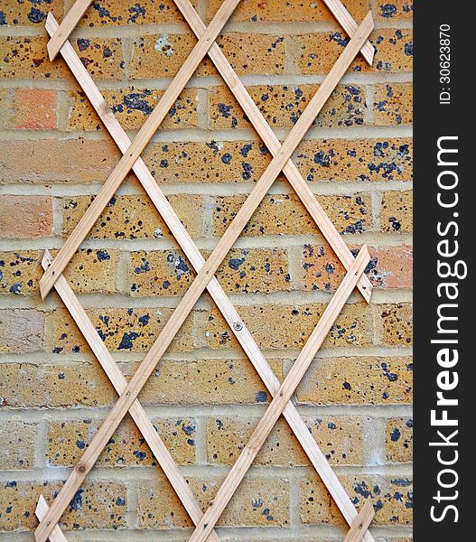 Garden wall trellis