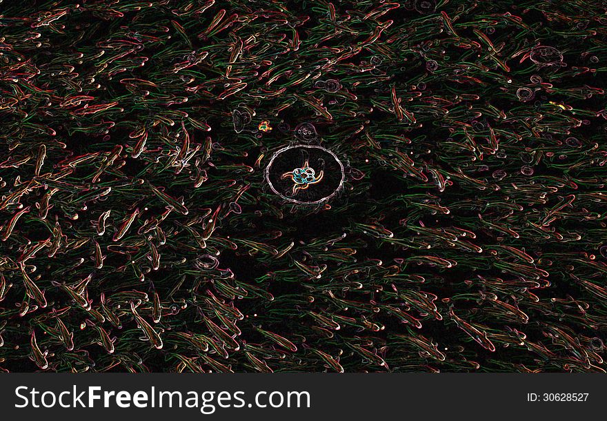 Stylized photo of a green and red school of fish and jellyfish in black background with glow. Stylized photo of a green and red school of fish and jellyfish in black background with glow