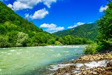 Wild Mountain River On A Clear Summer Day Royalty Free Stock Photography